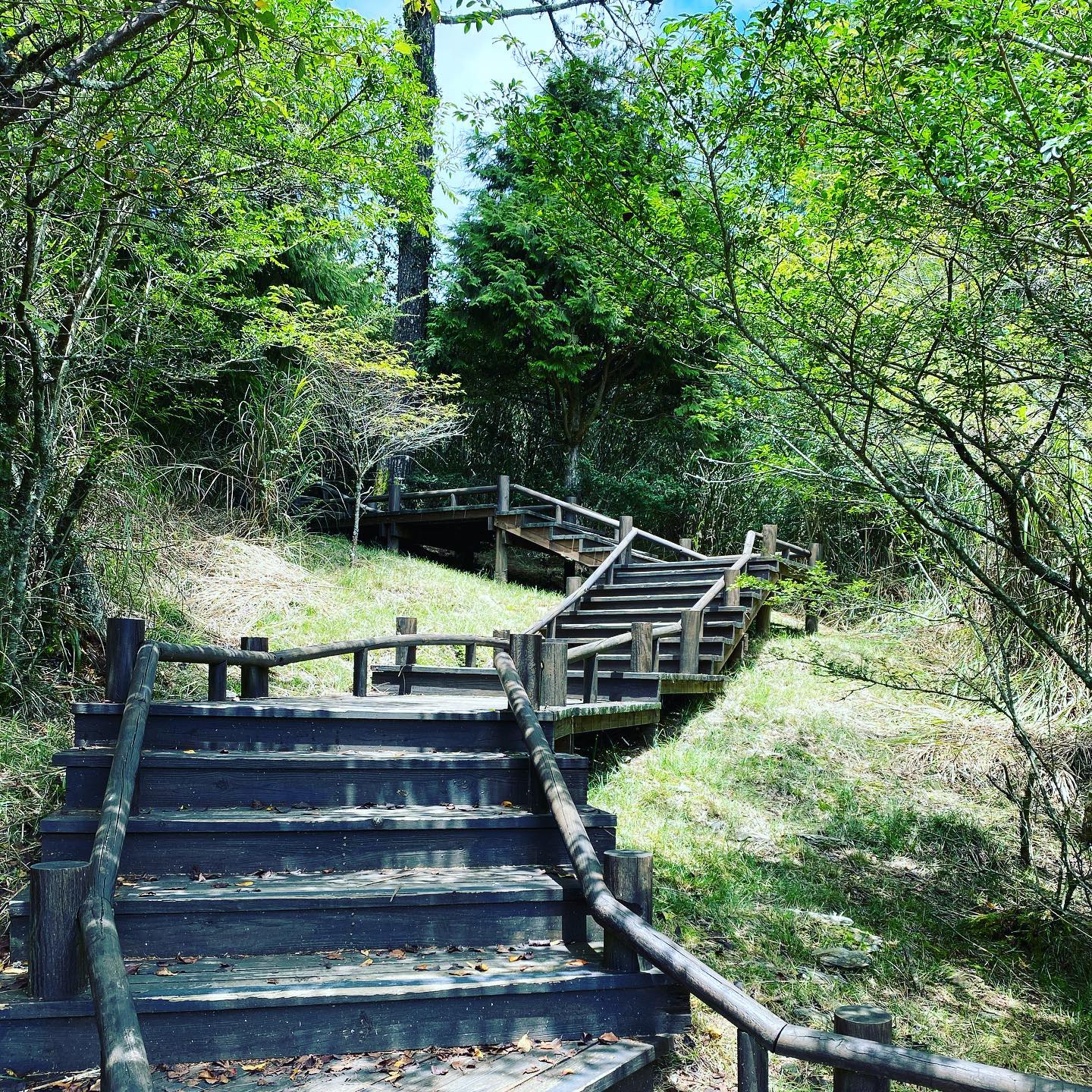 爬~#hsinchu #taiwan