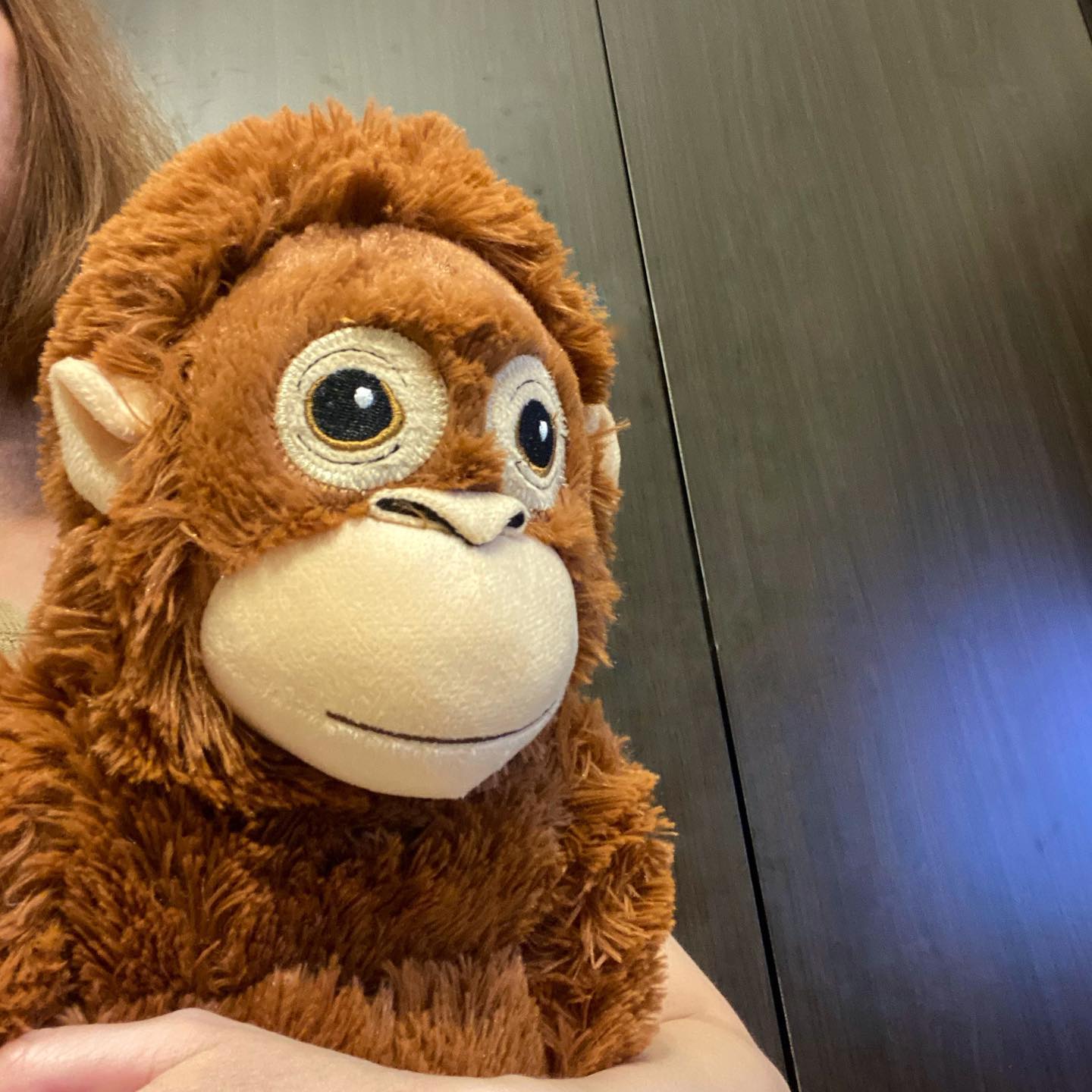 禮物#ikea #softtoy #djungelskog